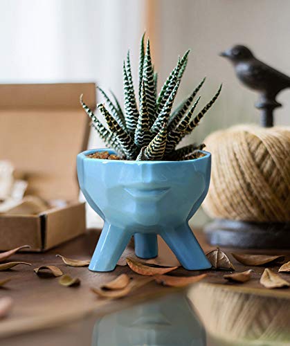 GeLive Ceramic Face Planter Head Plant Pot Modern Statue Artistic Flower Vase Succulent Bonsai Windowsill Box Urn for Home Decoration Indoor Outdoor (Large, Blue)
