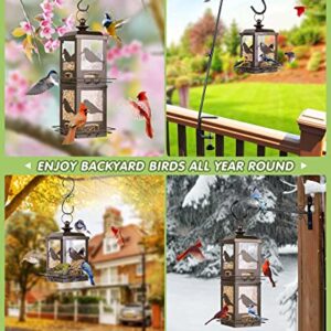 BOLITE 18034 Bird Feeder, Panorama Bird Feeder Single-Deck Lantern 8inch Tall Bird Feeder for Garden Yard Decoration, Bronze, 2lb