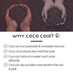 Pure Coconut Coir Netted Seed Starting Pellets - 42mm - Pack of 100 - Sustainable, Renewable, Unamended - Superior to Peat Plugs - High Water Holding - Minimize Root Loss & Transplant Shock