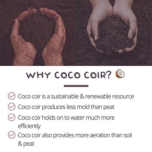 Pure Coconut Coir Netted Seed Starting Pellets - 42mm - Pack of 50 - Sustainable, Renewable, Unamended - Superior to Peat Plugs - High Water Holding - Minimize Root Loss & Transplant Shock