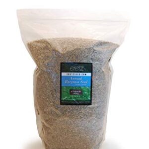 Annual RyeGrass Seed by Eretz - Willamette Valley, Oregon Grown. No fillers, No Weed or Other Crop Seeds (5lb)