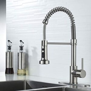 roddex kitchen faucet stainless steel solid brass single handle single hole sink faucets with pause button, 3 hole cover deck plate pull out pullout sprayer, silver & brushed nickel …
