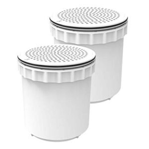 InvisiClean Water Pitcher Replacement Filter (2)