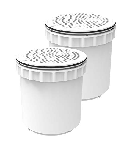 InvisiClean Water Pitcher Replacement Filter (2)