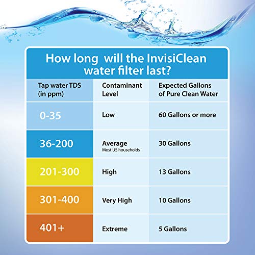 InvisiClean Water Pitcher Replacement Filter (2)