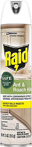 Raid Ant and Roach Killer Aerosol Spray with Essential Oils 11 Ounce (Pack of 2)