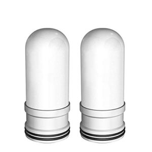 filter replacement for spardar spd12 water filter faucet, ultra-adsorptive acf, reduces sediment, chlorine and and bad taste, 2 pack