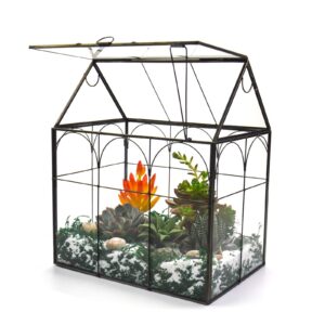 large tall plant greenhouse terrarium glass with lid, 8.7"x5.9"x10.6" inches indoor tabletop orchid succulent cacti terrarium kit na (house black a)