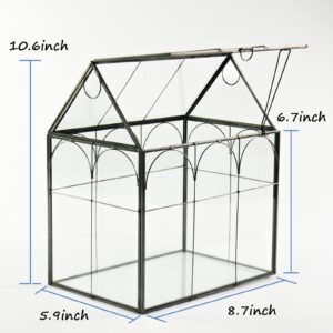 Large Tall Plant Greenhouse Terrarium Glass with Lid, 8.7"X5.9"X10.6" Inches Indoor Tabletop Orchid Succulent Cacti Terrarium Kit NA (House Black A)