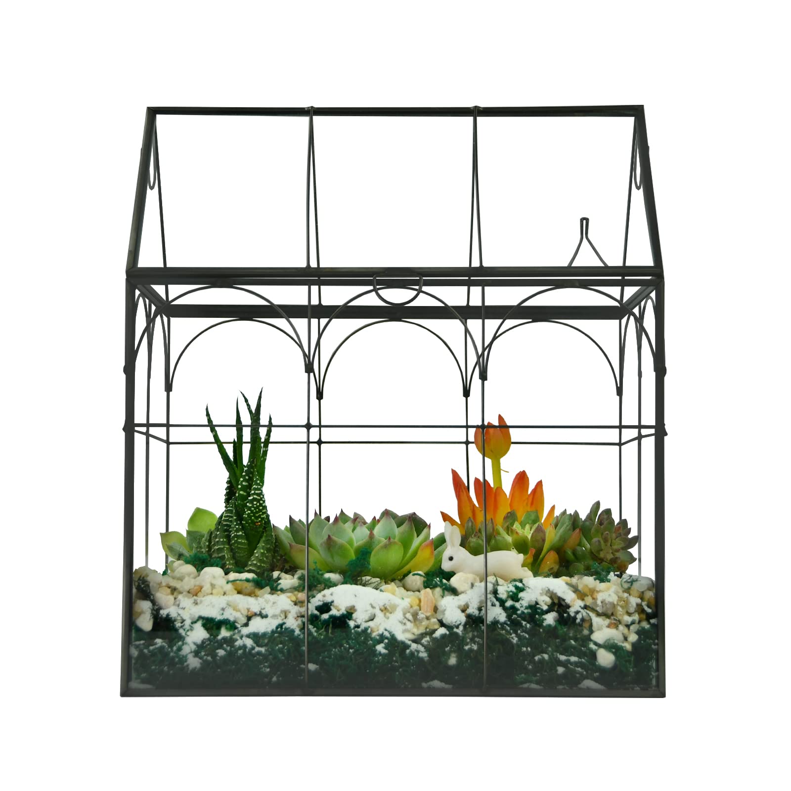 Large Tall Plant Greenhouse Terrarium Glass with Lid, 8.7"X5.9"X10.6" Inches Indoor Tabletop Orchid Succulent Cacti Terrarium Kit NA (House Black A)