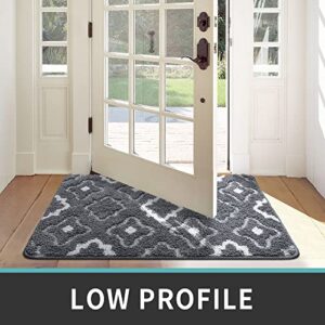 DEXI Door Mats Indoor, Durable Absorbent Non Slip Front Door Rugs for Inside House, Low Profile Easy Clean Entrance Mat, 36"x24", Grey