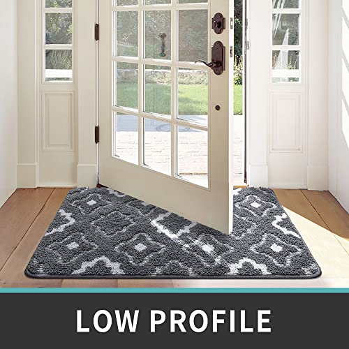 DEXI Door Mats Indoor, Durable Absorbent Non Slip Front Door Rugs for Inside House, Low Profile Easy Clean Entrance Mat, 36"x24", Grey