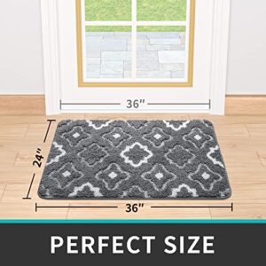 DEXI Door Mats Indoor, Durable Absorbent Non Slip Front Door Rugs for Inside House, Low Profile Easy Clean Entrance Mat, 36"x24", Grey