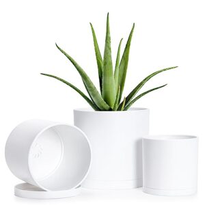 d'vine dev 4 inch 5 inch 6 inch, set of 3 plastic planter pots for plants with drainage hole and seamless saucers, white color, small, 74-e-s-1