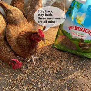 5LB Dried Mealworms 100% Non-GMO, Mealworms for Chickens, Blue Birds, Ducks, Small Pets