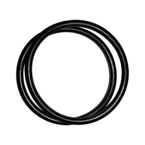 r172009 o-ring for pentair model 300/320 pool and spa chlorinator lid (2/pack)