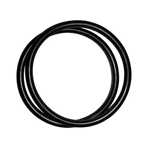 R172009 O-Ring For Pentair Model 300/320 Pool and Spa Chlorinator Lid (2/Pack)