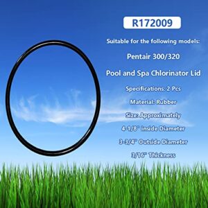 R172009 O-Ring For Pentair Model 300/320 Pool and Spa Chlorinator Lid (2/Pack)