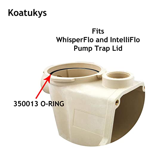 350013 Lid O-Ring Replacement for Pentair WhisperFlo and IntelliFlo Pump Trap (3/Pack)