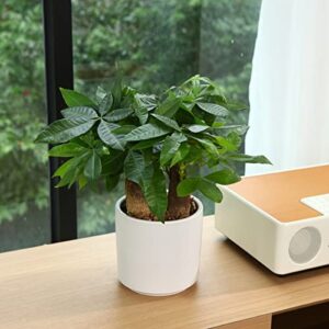 FOPAMTRI 6 Inch Plant Pot Matte White Ceramic Planter for Indoor Outdoor Plants Flowers Small Modern Cylinder Flower Pot with Drainage Hole and Plug,Full Glazed Finish