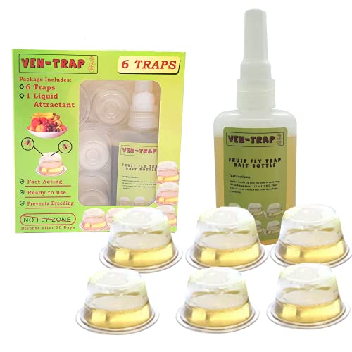 6 Pack Fruit Fly Trap | No Insecticides or Odor, Eco Friendly, Also Catch gnats