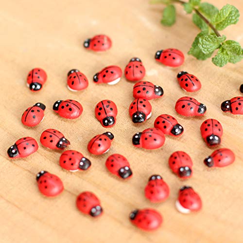 ekqw015l Miniature Ornaments Plant Pots, Bonsai Garden Accessories & 100Pcs/Set Manual Mini Wooden Ladybird Micro Landscape Decor DIY Wall Sticker