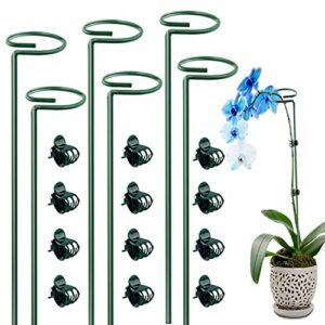 dreecy 6 pack 16 inch orchid support stakes with 12 pcs clips, sturdy metal floral flower support garden single stem plant stakes for amaryllis orchid tomatoes lily rose peony,dark green