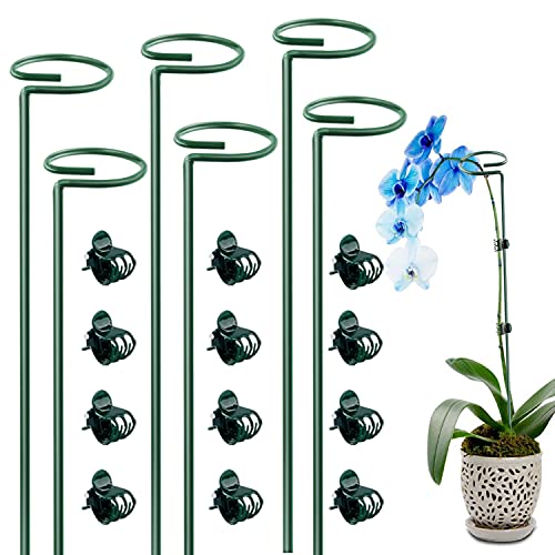 Dreecy 6 Pack 16 Inch Orchid Support Stakes with 12 Pcs Clips, Sturdy Metal Floral Flower Support Garden Single Stem Plant Stakes for Amaryllis Orchid Tomatoes Lily Rose Peony,Dark Green