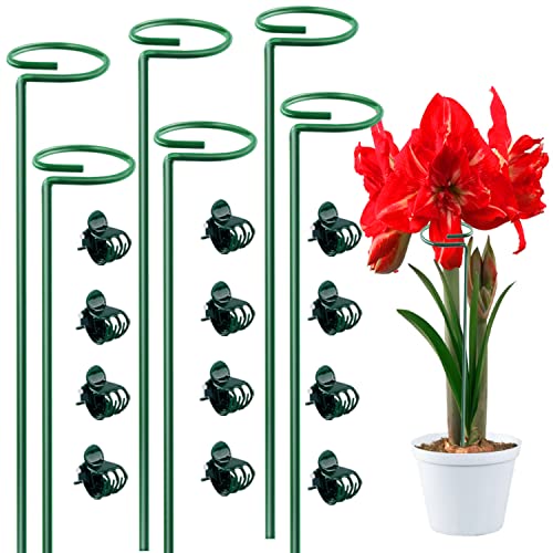 Dreecy 6 Pack 16 Inch Orchid Support Stakes with 12 Pcs Clips, Sturdy Metal Floral Flower Support Garden Single Stem Plant Stakes for Amaryllis Orchid Tomatoes Lily Rose Peony,Dark Green