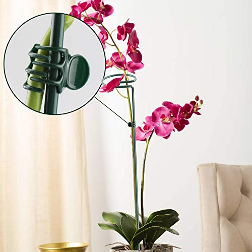 Dreecy 6 Pack 16 Inch Orchid Support Stakes with 12 Pcs Clips, Sturdy Metal Floral Flower Support Garden Single Stem Plant Stakes for Amaryllis Orchid Tomatoes Lily Rose Peony,Dark Green