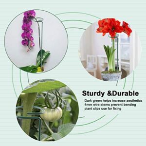 Dreecy 6 Pack 16 Inch Orchid Support Stakes with 12 Pcs Clips, Sturdy Metal Floral Flower Support Garden Single Stem Plant Stakes for Amaryllis Orchid Tomatoes Lily Rose Peony,Dark Green