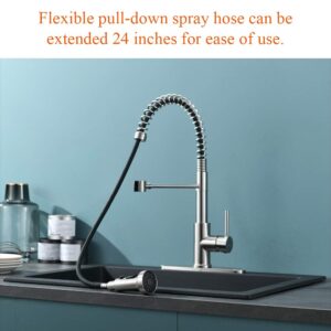 RULIA Kitchen Faucet, Kitchen Sink Faucet, Sink Faucet, Spring Pull-Down Kitchen Faucets, Bar Kitchen Faucet, Brushed Nickel, Stainless Steel, RB1027