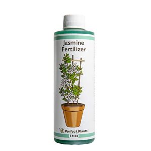perfect plants liquid jasmine fertilizer | 8oz. of premium concentrated indoor outdoor jasmine food | use with aromatic and flowering jasminum | bloom booster