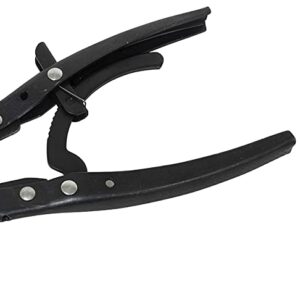 Lisle 38700 Spindle Snap Ring Pliers Ford SD