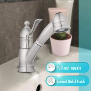 Aqua Vista 23-K81CO-BN-AV Singe Lever Kitchen Sink Faucet, Pull-Out Brushed Nickel