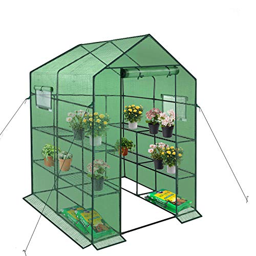 ENSTVER Polyethylene Reinforced Walk-in Greenhouse with Window,Plant Gardening Green House 2 Tiers and 8 Shelves,L56.5 x W56.5 x H76.5