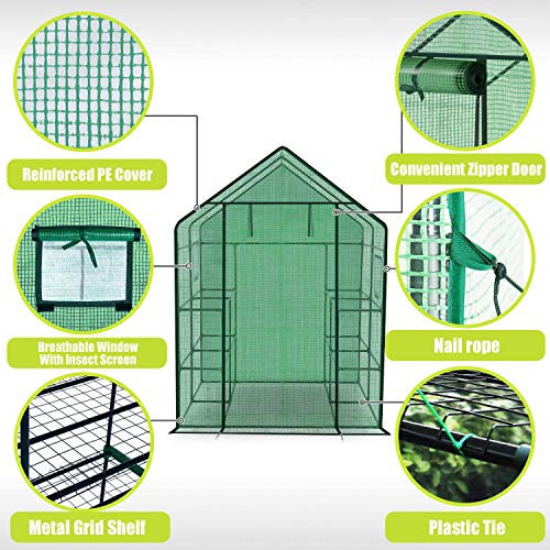 ENSTVER Polyethylene Reinforced Walk-in Greenhouse with Window,Plant Gardening Green House 2 Tiers and 8 Shelves,L56.5 x W56.5 x H76.5