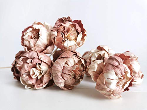 10 Rare Natural Pink Peony 1.5" Sola Flower Reed Diffuser for Home Fragrance Oil by Plawanature.