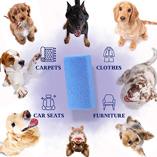 Moxler Pumice Stone Pet Hair Removal Tool for Car Seat Mat Couch Bed Carpet Rug Floor Furniture Reusable Animal Fur Remover Cat Dog Hair Cleaner