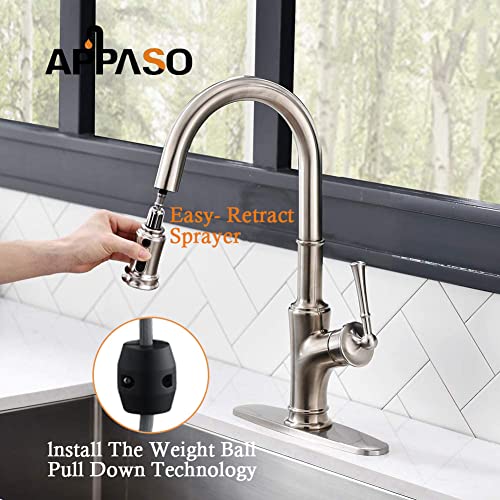 Bushed Nickel Kitchen Faucet with Pull Down Sprayer and Brush, Single Handle High Arc Single Hole Pull Out Kitchen Sink Faucets with Sprayer, Stainless Steel, APPASO