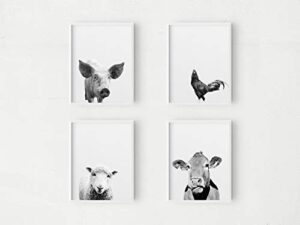 black and white farm animal prints | set of 4 11x14 cute animal wall art | rustic kids bedroom and baby's nursery wall decor | pig, chicken, sheep, cow photos ready to frame | vintage farmhouse decor