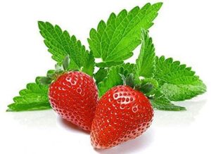 100+ strawberry mint herb seeds non-gmo fragrant rare! us grown!