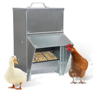 rural365 50lb capacity galvanized chicken feeder weatherproof coop dispenser