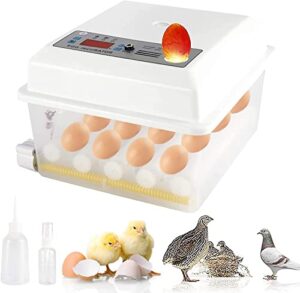 yaeccc egg incubator, automatic egg hatching incubator temperature control for hatching chicken duck quail bird eggs (16 eggs)