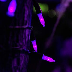 Twinkle Star 50 LED Battery Operated Halloween Lights 16 ft Mini String Lights, Waterproof Tree Lights with 8 Lighting Modes, Indoor Outdoor Patio Garden Party Wedding Decorations, Purple