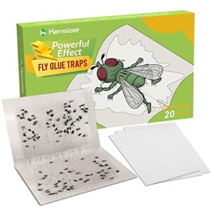 kensizer 20-pack fly paper trap, fruit fly catcher board, bug sticky glue paper trap for houseflies and blowflies indoor and outdoor