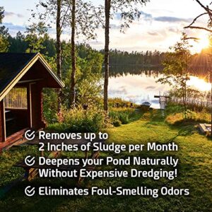 Pond Sludge Remover – 5 Pounds Beneficial Pond Bacteria & Enzyme Treatment - 100% Natural Muck Digester – Safe for All Aquatic Life and Recreation - Made in The USA