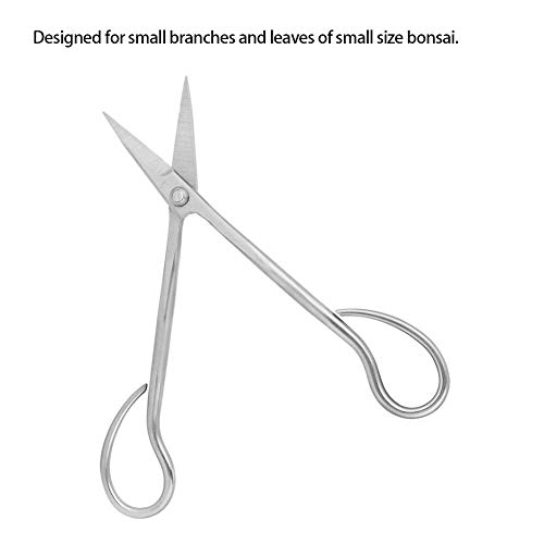 A sixx Stainless Steel Scissors,Bonsai Scissors Bonsai Shear Long Handle Scissors 185mm Japanese Bonsai Garden Tool Starter Kit Tian Bonsai Tools