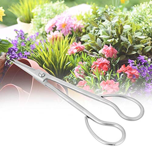 A sixx Stainless Steel Scissors,Bonsai Scissors Bonsai Shear Long Handle Scissors 185mm Japanese Bonsai Garden Tool Starter Kit Tian Bonsai Tools