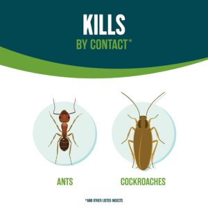 Ecologic Ant & Roach Killer, Indoor Defense, Also Kills Spiders & Crickets, (Aerosol Spray) 14 fl Ounce